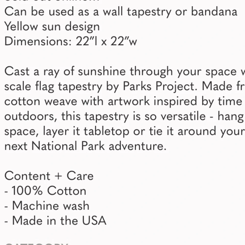 NWOT Parks Project Sun Flag Tapestry/ Bandana
